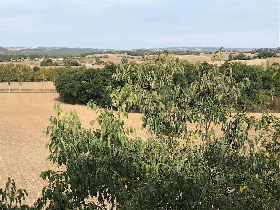 Appartement Neuf & Ecologique A La Campagne Marzens Exteriör bild
