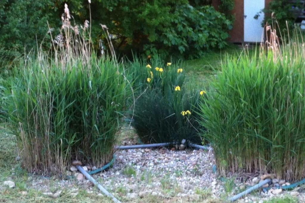 Appartement Neuf & Ecologique A La Campagne Marzens Exteriör bild